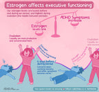 2. ADHD & Hormones
