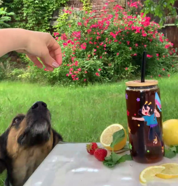 ADHD Alien's Dog looking at a hand holding a treat, with a drink and lemon slices on a table outdoors. - Making of image 3